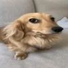 leo_773_