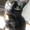 catto5614