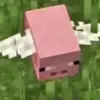 eliboi2749