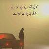 w.anjum100