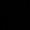bere0981
