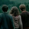 harry.potter0104