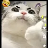 mocbuomsuayeumocb