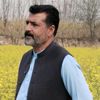 waheed.shah312