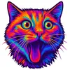 catsicksoup
