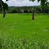 sandon360