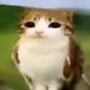 deathi_zanagi_genius