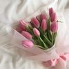 tulipanes2_2