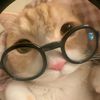 diva_vach