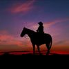 southern_rebel1