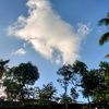 dwirahayuwira