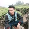 hendialparo07