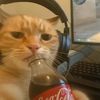 maxoplays