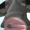 cuteso1huhi