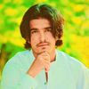 hamed.jan894