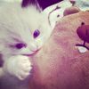 binggg_07