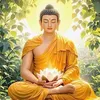 Phong Thuỷ - Đổi Đời