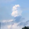 minh.chu6349