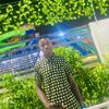 use13952806
