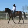 equ_.dasha