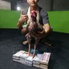 arr.jay89