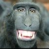 giolejava7