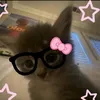 rene_gtk