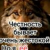 dwon668