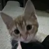 moffuckas8