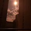 nitrotrader7