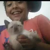 lucazin.x02