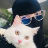 tahsina.queen
