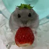 rotzakrouleleellelel
