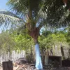 user2353992608037