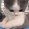 mochi06782