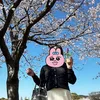 いちごけーき🍰