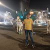 luis.alzamora37