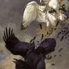 lore_the_harpy_eagle7718
