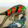 alamam94
