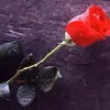 bilal.ibrahim.naj