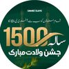 nighaerizvi313