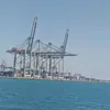 kareemturkey3