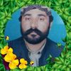 gul.muhammad.gul608