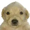 jrldjason