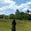 lisma2262