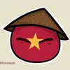 vietnammaidinhahhhh