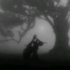 deathorlife_666