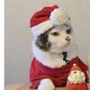 christmas_kittyfr