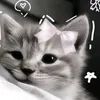 melissa.nguessan67