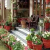 maili.mahamad31